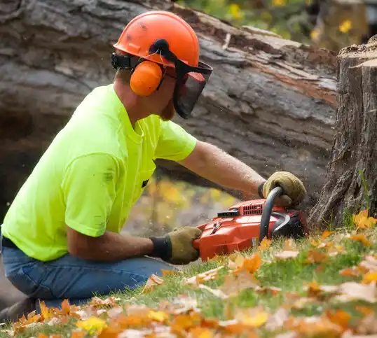 tree services Galion